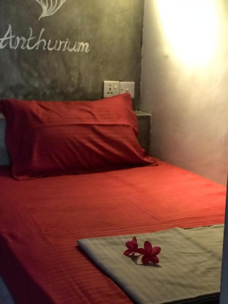 Hostel Pranaya Hiriketiya Dickwella Zewnętrze zdjęcie